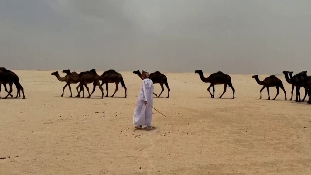 بالفيديو.. ألغاز الآثار القديمة في موقع شصر العُماني