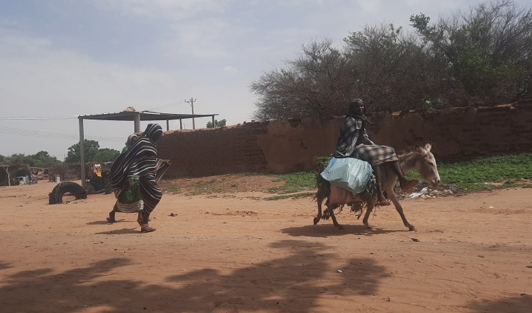 نازحة سودانية من منطقة شقرة تجلب الماء علي ظهر حمار ـ المصدر (العربية الآن)