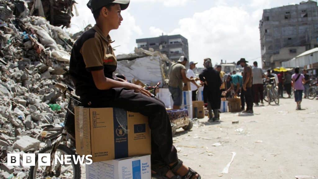 UN says Gaza aid operation paused due to evacuation orders