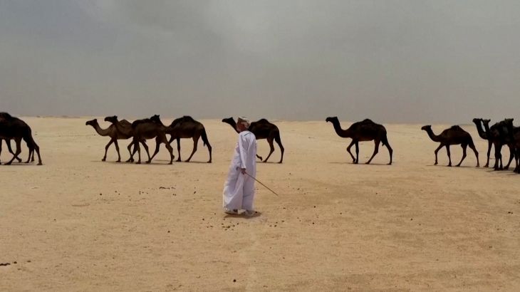 كتشف ألغاز الموقع الأثري شصر العُماني في هذا الفيديو