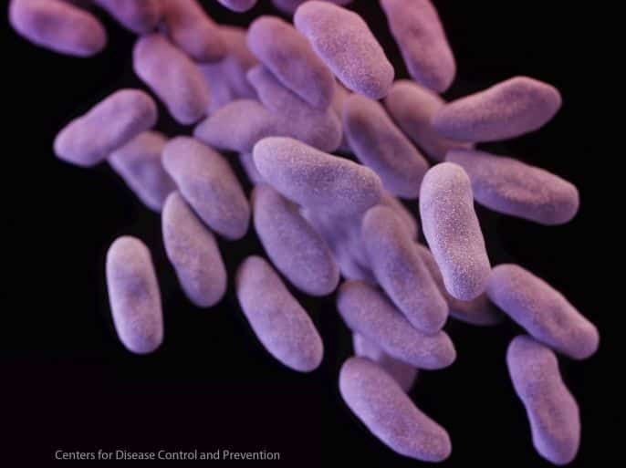 A carbapenem-resistant Enterobacteriaceae is pictured in this undated handout medical illustration provided by the U.S. Centers for Disease Control and Prevention. According to a September 16, 2013 report by the U.S. Centers for Disease Control and Prevention (CDC), at least 2 million people in the United States develop serious bacterial infections that are resistant to one or more types of antibiotics each year, and at least 23,000 die from the infections. REUTERS/Center for Disease Control/Handout via Reuters (UNITED STATES - Tags: HEALTH DRUGS SOCIETY) ATTENTION EDITORS - THIS IMAGE WAS PROVIDED BY A THIRD PARTY. FOR EDITORIAL USE ONLY. NOT FOR SALE FOR MARKETING OR ADVERTISING CAMPAIGNS. NO SALES. NO ARCHIVES. THIS PICTURE IS DISTRIBUTED EXACTLY AS RECEIVED BY REUTERS, AS A SERVICE TO CLIENTS