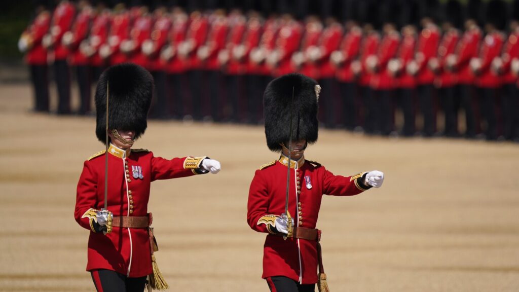 Animal rights groups object to Buckingham Palace guard’s distinctive bearskin caps