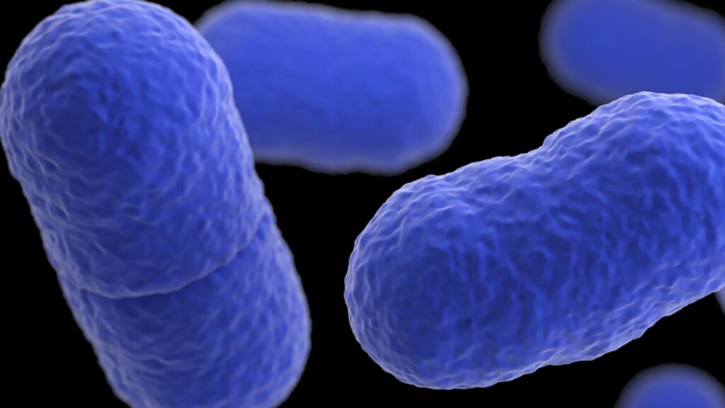 Listeria outbreak tied to Yu Shang Food leaves California infant dead and 10 people sick