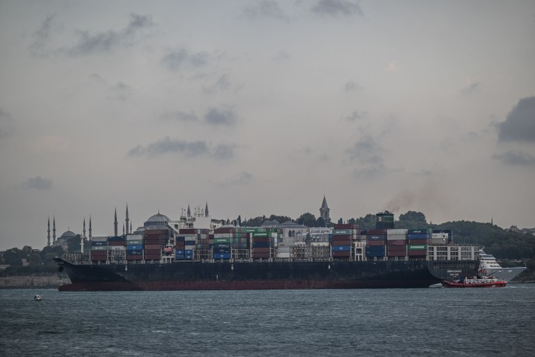 Container ship which set sail from Ukraine’s Odesa port reaches Istanbul Strait