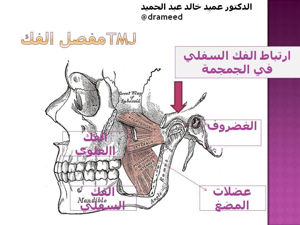 اضطراب مفصل الفك الأعراض والعلاج وتأثير الذكاء الاصطناعي اضطراب مفصل الفك اضطراب مفصل الفك