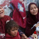 Nearly 70% of Gaza war dead are women and children, UN says