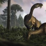 Fossilized dinosaur feces and vomit help scientists reconstruct the creatures’ rise