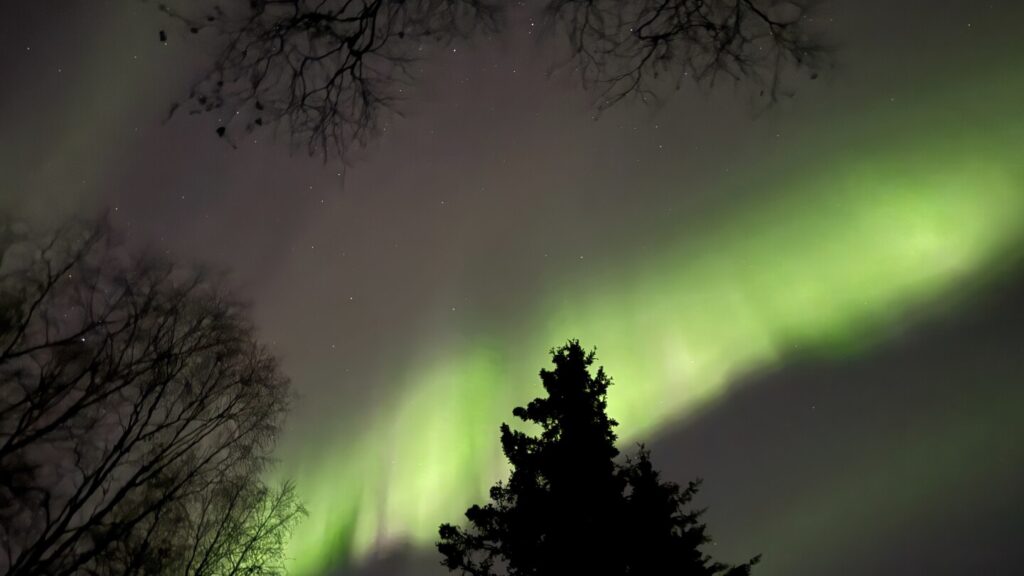 Northern lights may be faintly visible across parts of the US this Thanksgiving