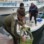 Fishers at a Lebanese port hope ceasefire with Israel means normal life is returning