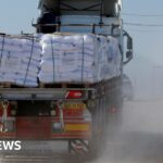 Gangsters block aid distribution in south Gaza