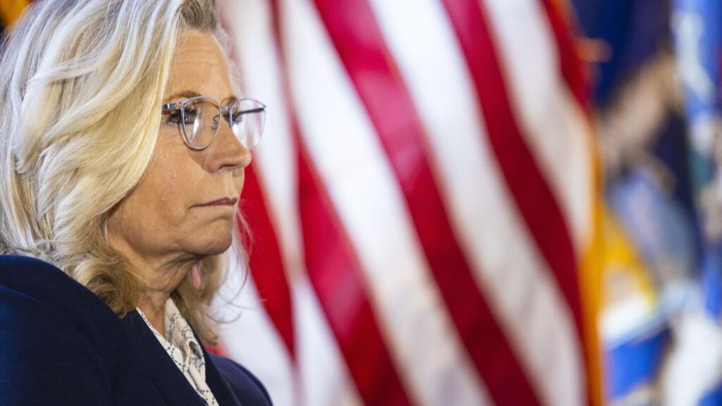 Harris assails Trump for saying Liz Cheney should have rifles ‘shooting at her’