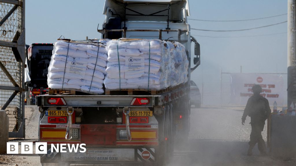 Almost 100 Gaza food aid lorries violently looted, UN agency says