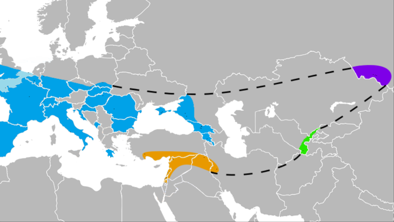 انتشار النياندرتال في منطقة واسعة تمتد من جنوب أوروبا إلى وسط آسيا (ويكيبيديا)