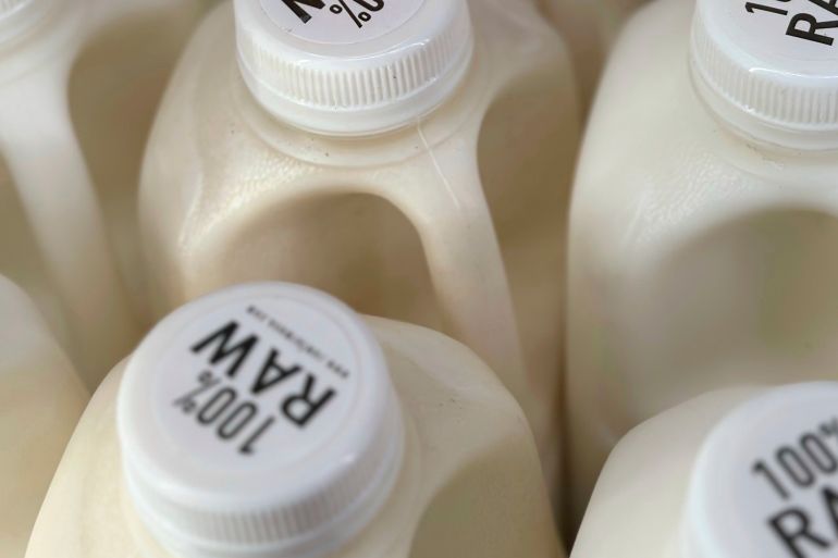 FILE - Bottles of raw milk are displayed for sale at a store in Temecula, Calif., on Wednesday, May 8, 2024. (AP Photo/JoNel Aleccia, file)