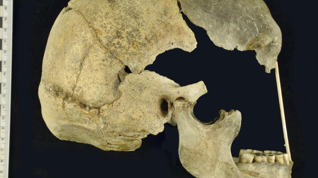 Ancient genes pinpoint when humans and Neanderthals mixed and mingled