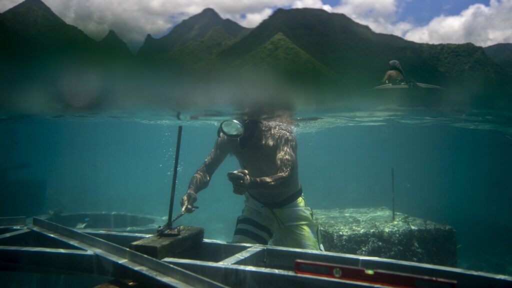 From destruction to deadly heat, Associated Press photographers capture climate change in 2024