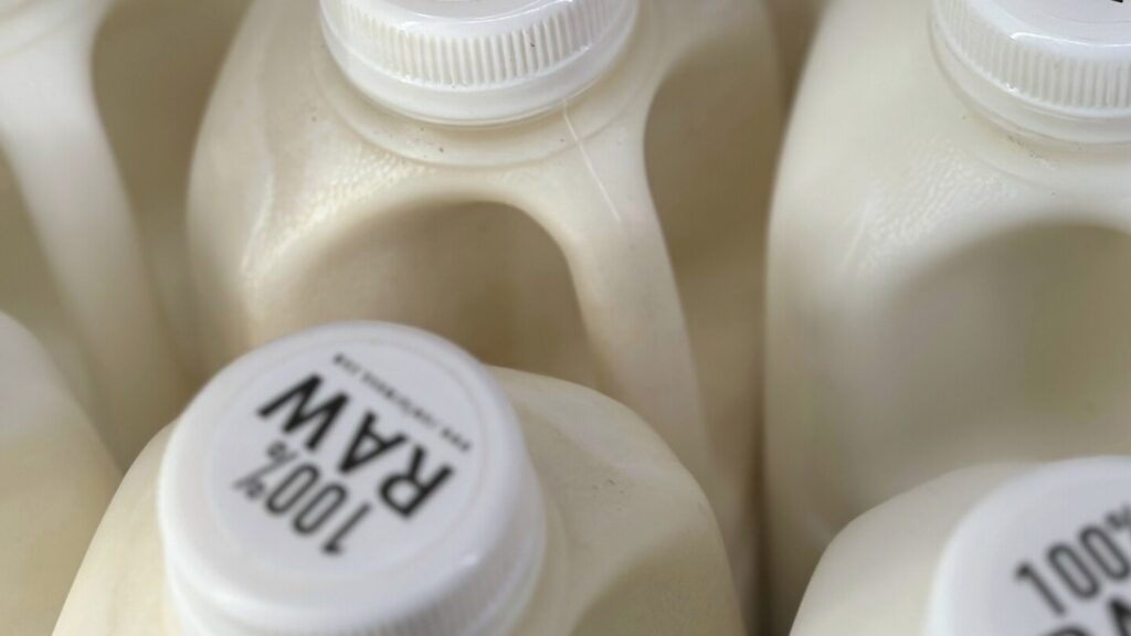 Bird flu virus was found in raw milk. What to know about the risks