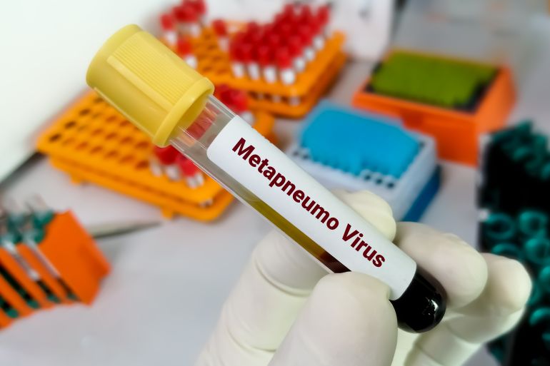 human metapneumovirus (HMPV)