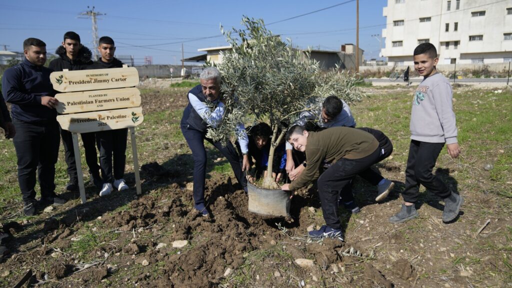 Palestinians dedicate a new West Bank olive grove to Jimmy Carter