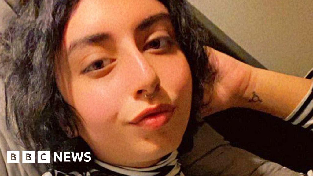 Lawyer in Saudi trans student's suicide note had embassy links, BBC finds